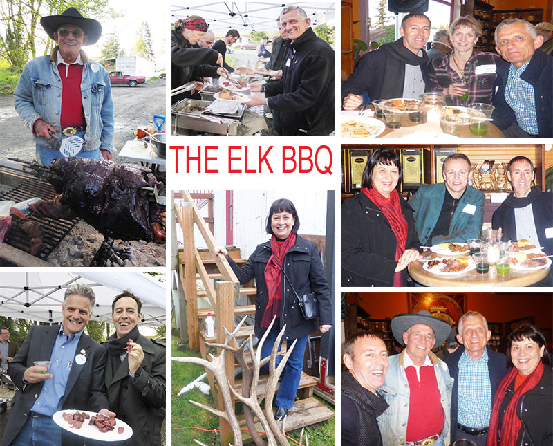 Collage of elk barbeque