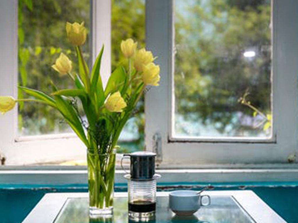 yellow flowers in a vase in front of a window