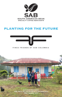 South American Bean planting for the future advertisement