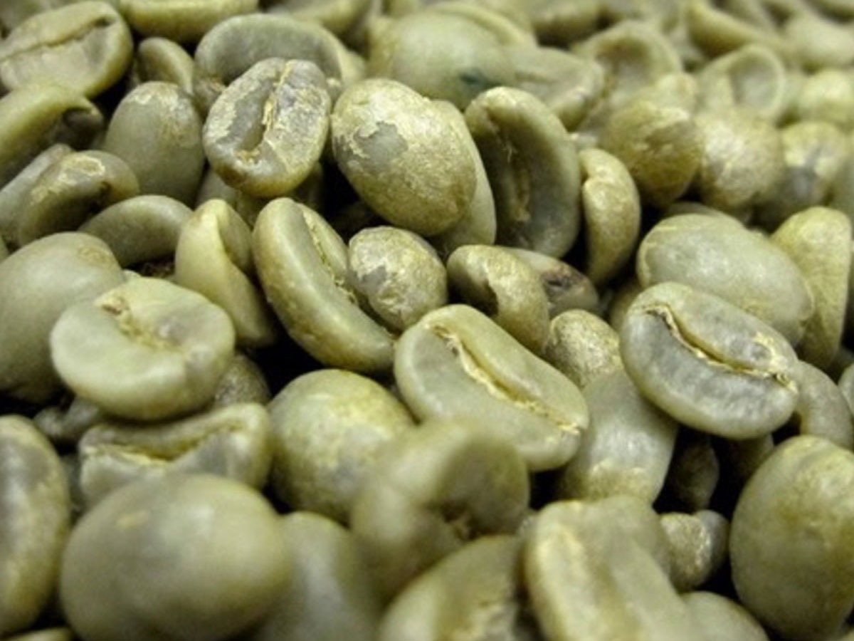Closeup photo of pale green unroasted coffee beans showing parchment and silverskin
