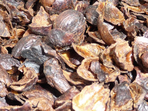 Cascara-dried-pulp-of-the-coffee-berry